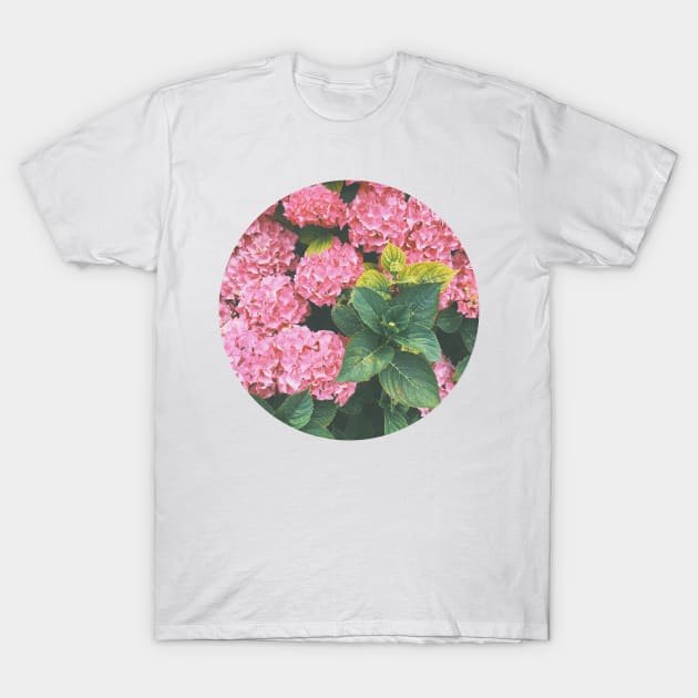 Hydrangea T-Shirt by Cassia